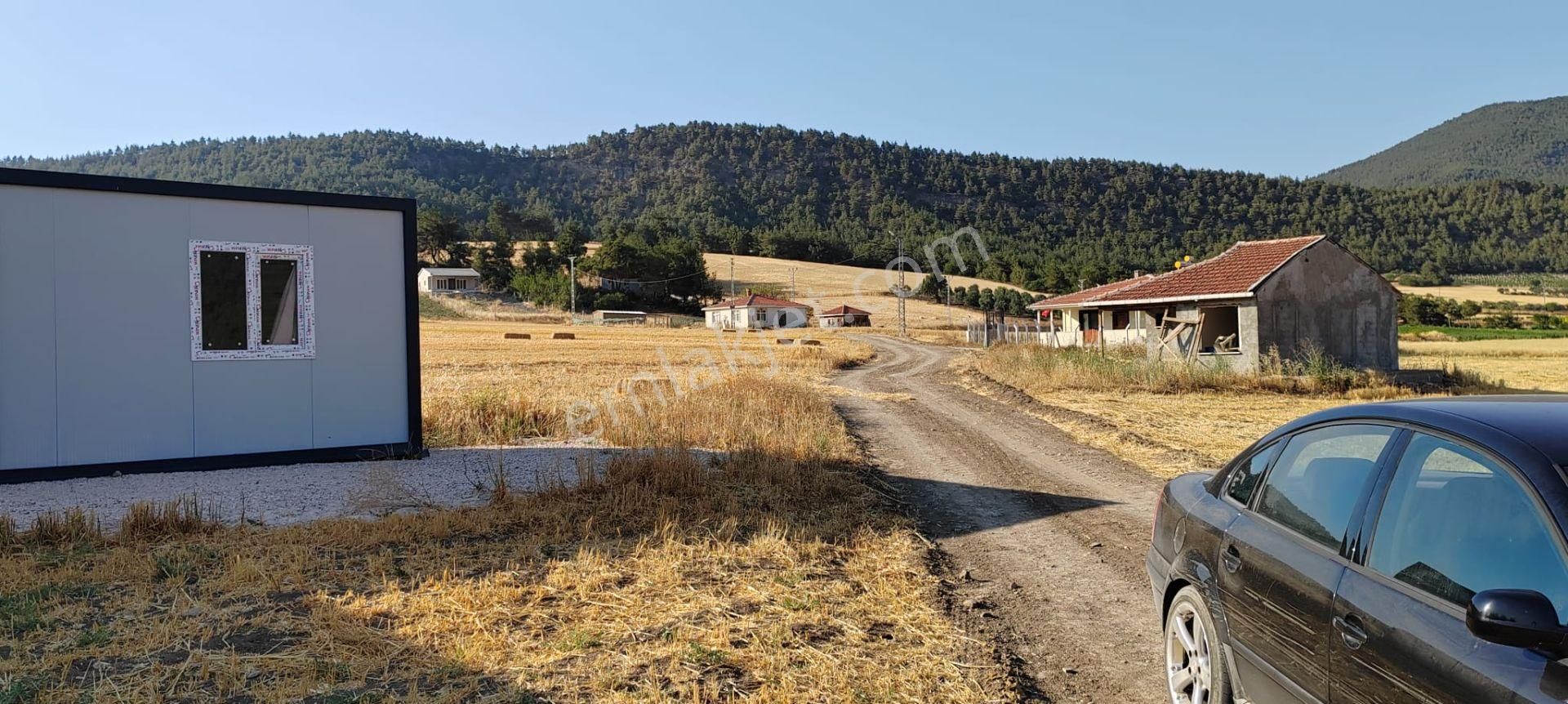 Sakarya Geyve Karacaören Hobi Bahçesi İçinde Konteynırlı Tarla. - Görsel 8