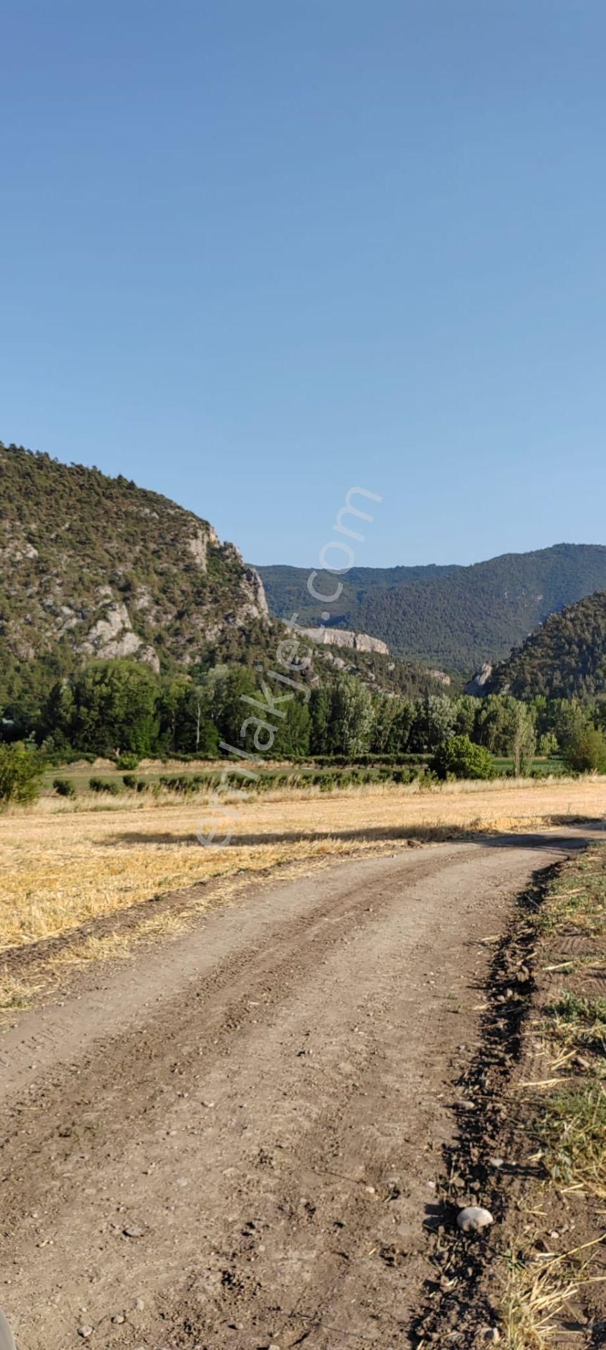 Sakarya Geyve Karacaören Hobi Bahçesi İçinde Konteynırlı Tarla. - Görsel 2