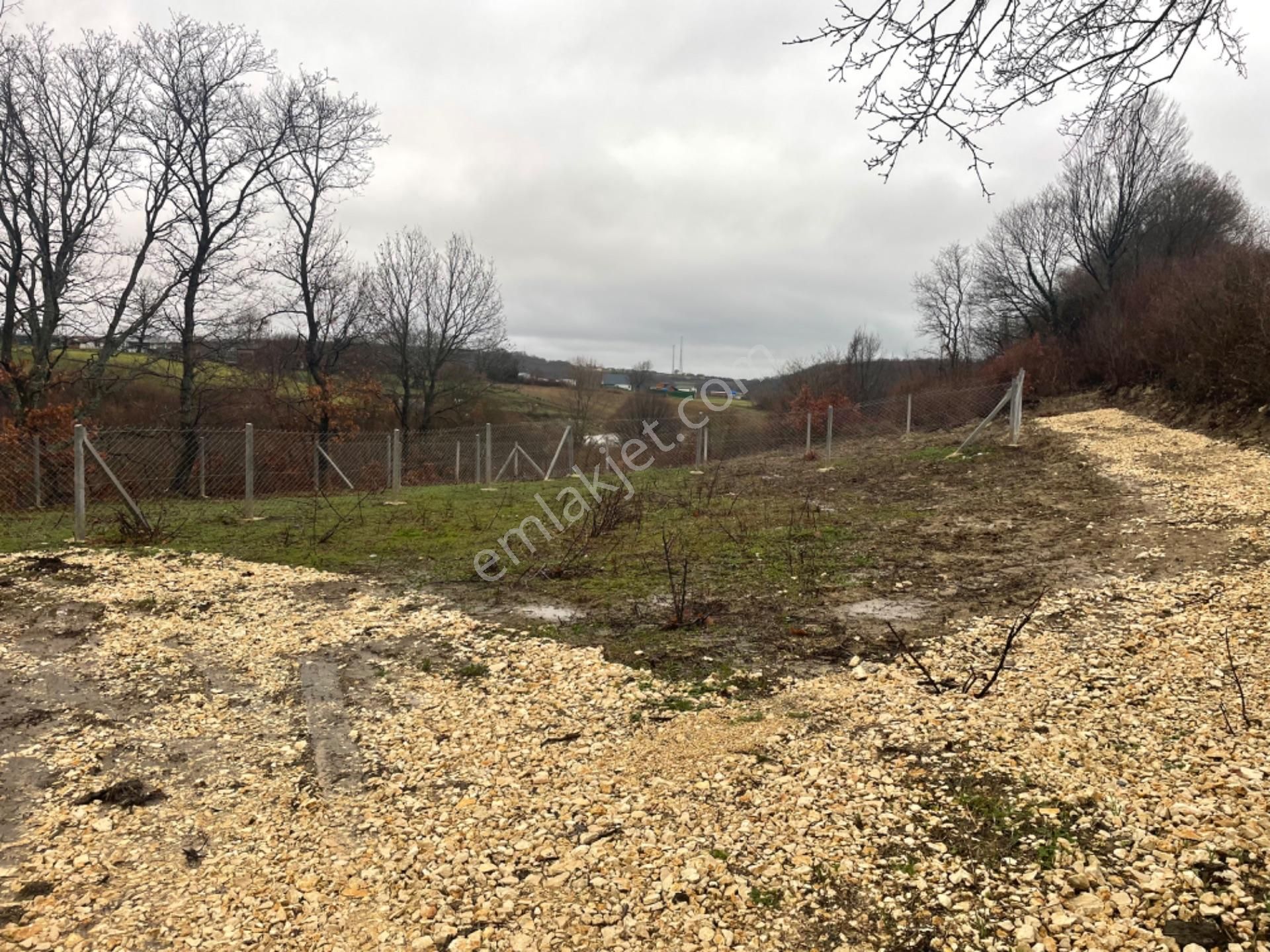 Çatalca İhsaniye ‘de 236 Metre Etrafı Çevrili Az Hisseli Köy Manzaralı - Görsel 5