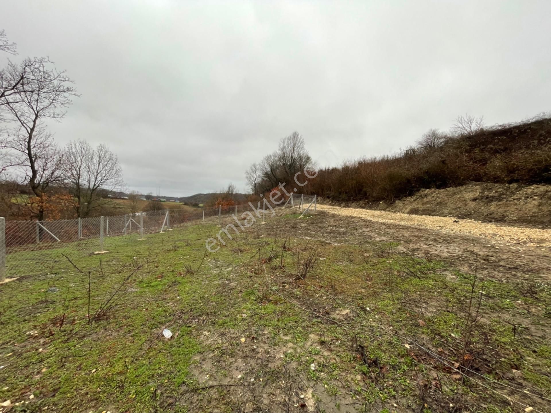 Çatalca İhsaniye ‘de 236 Metre Etrafı Çevrili Az Hisseli Köy Manzaralı - Görsel 7