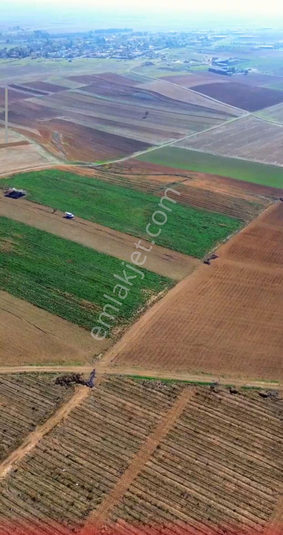 Acil Fiyatı Düştü Afyon Evciler Baraklı Tren İstasyonu Yakın 3315 M2 - Görsel 8