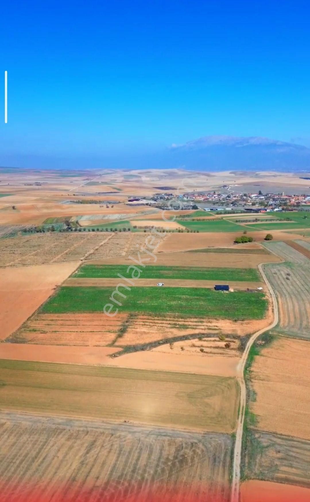 Acil Fiyatı Düştü Afyon Evciler Baraklı Tren İstasyonu Yakın 3315 M2 - Görsel 4