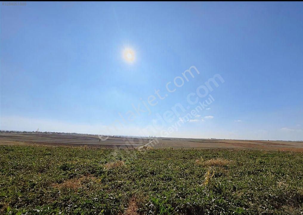 Acil Fiyatı Düştü Afyon Evciler Baraklı Tren İstasyonu Yakın 3315 M2