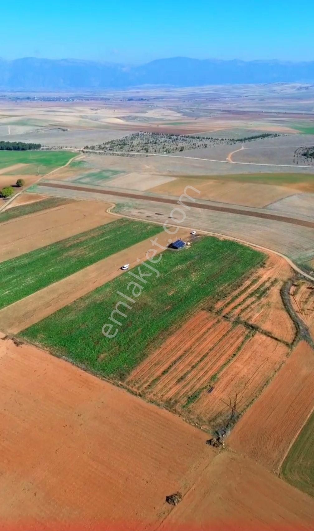 Acil Fiyatı Düştü Afyon Evciler Baraklı Tren İstasyonu Yakın 3315 M2 - Görsel 5