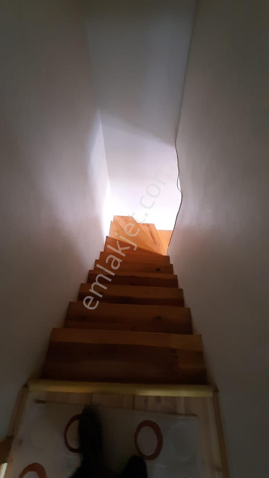 *nova* Beşik'te Asfalt Yola Sıfır Bahçeli Villa - Görsel 25