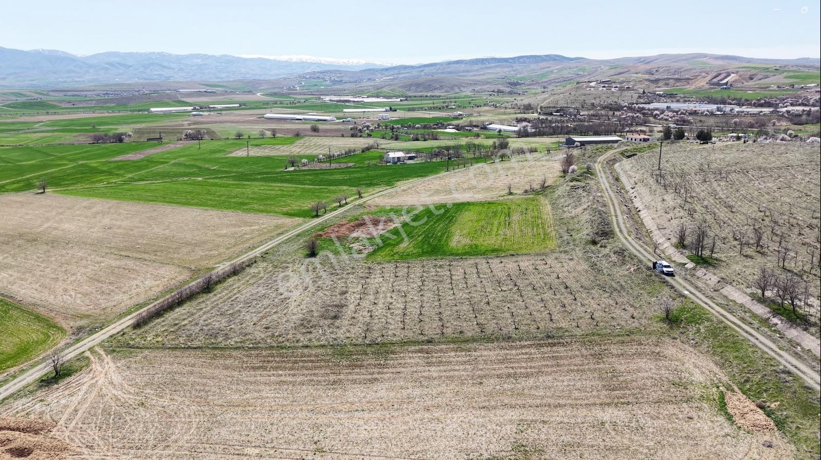 *nova* Tadım Köyünde 3.347m2 Satılık Tarla - Görsel 8