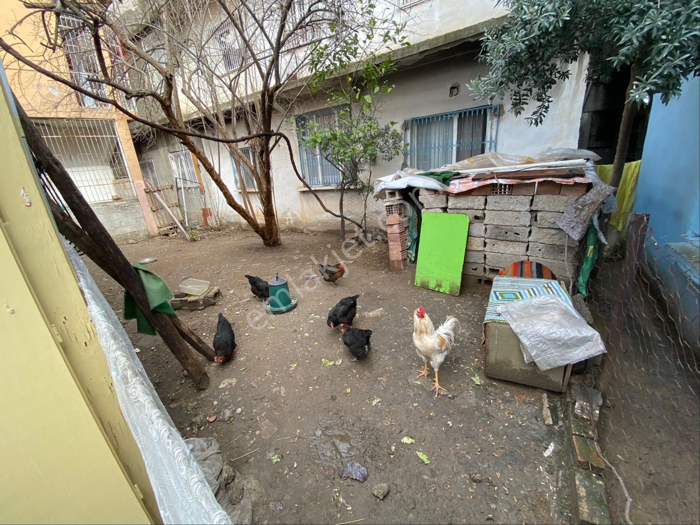 Atc’den Kazım Karabekir’de 2+1 Müstakil Kiralık Daire - Görsel 9