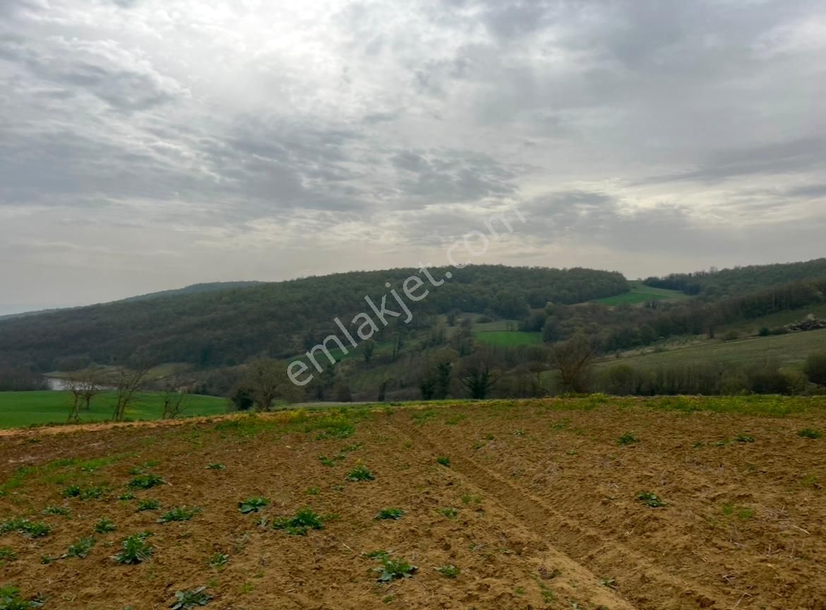 Re/max Mavi Fatih Çelebi'den 967m2 Hataplı Gölet Manzaralı Arazi - Görsel 9