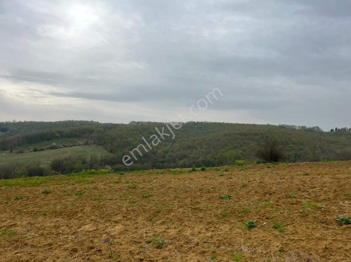 Re/max Mavi Fatih Çelebi'den 967m2 Hataplı Gölet Manzaralı Arazi - Görsel 10