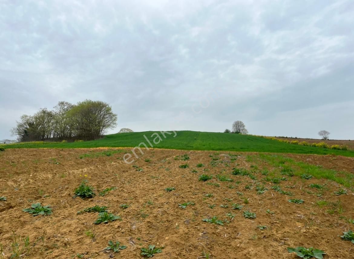 Re/max Mavi Fatih Çelebi'den 967m2 Hataplı Gölet Manzaralı Arazi - Görsel 6