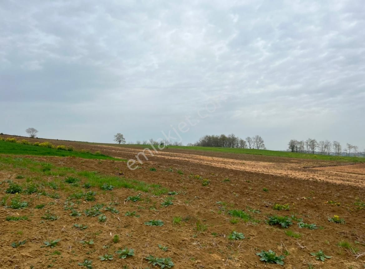 Re/max Mavi Fatih Çelebi'den 967m2 Hataplı Gölet Manzaralı Arazi - Görsel 7