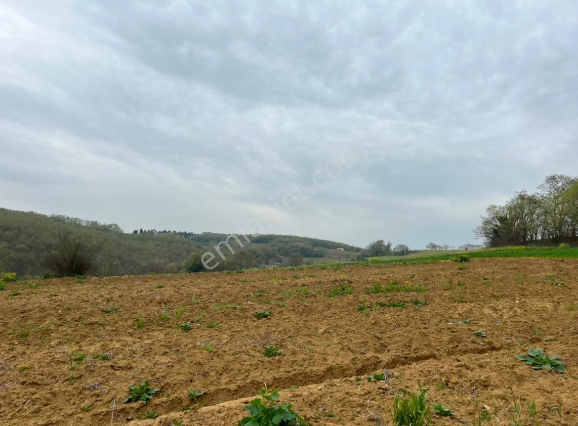 Re/max Mavi Fatih Çelebi'den 967m2 Hataplı Gölet Manzaralı Arazi - Görsel 5