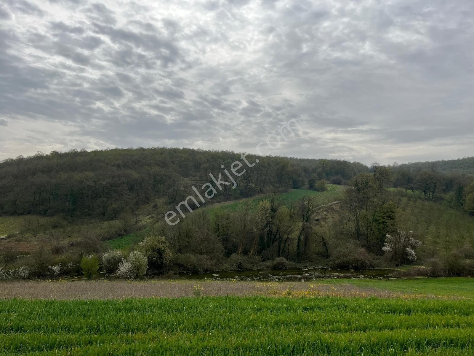 Re/max Mavi Fatih Çelebi'den Hataplı Gölet Manzaralı 1.537 M2 - Görsel 9