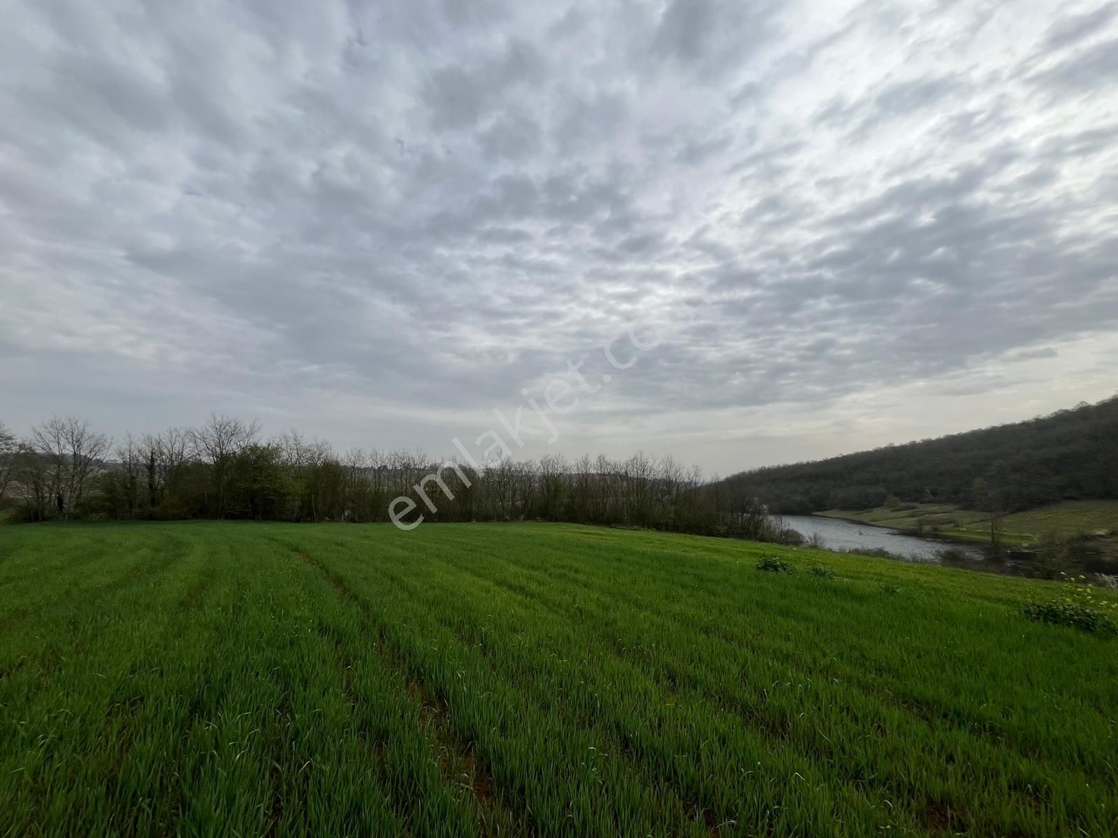 Re/max Mavi Fatih Çelebi'den Hataplı Gölet Manzaralı 1.537 M2 - Görsel 7