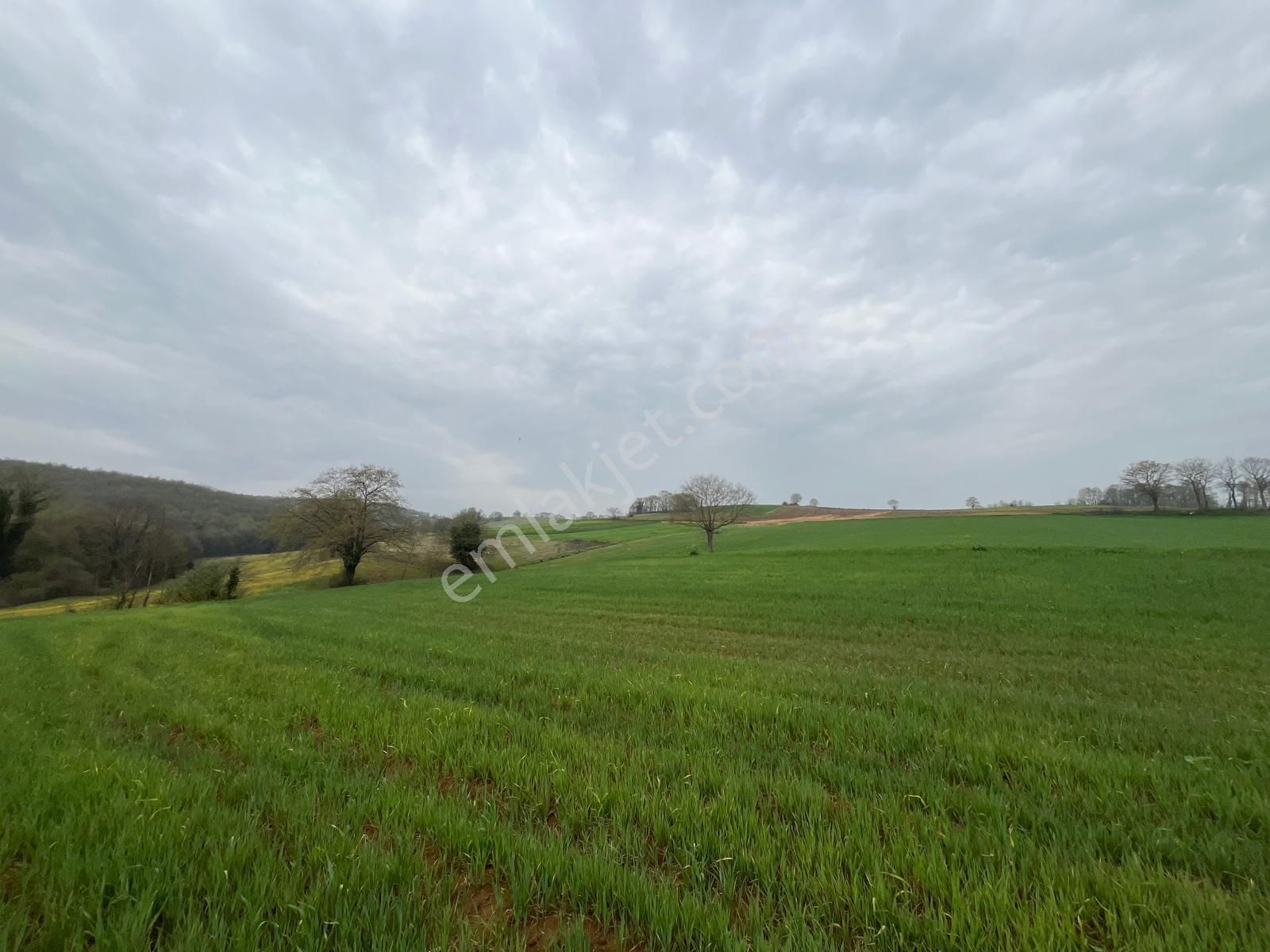 Re/max Mavi Fatih Çelebi'den Hataplı Gölet Manzaralı 1.537 M2 - Görsel 5