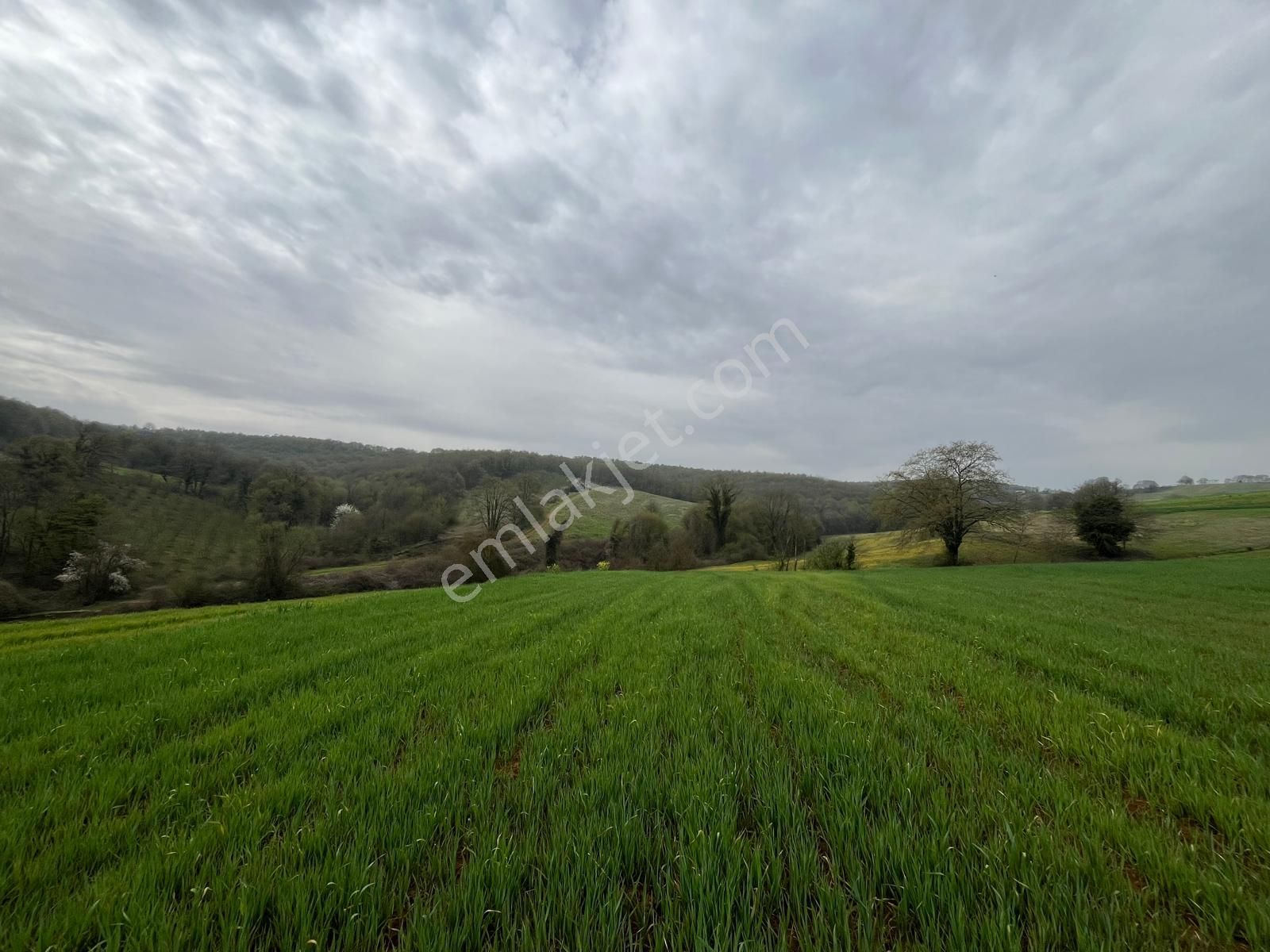 Re/max Mavi Fatih Çelebi'den Hataplı Gölet Manzaralı 1.537 M2 - Görsel 4