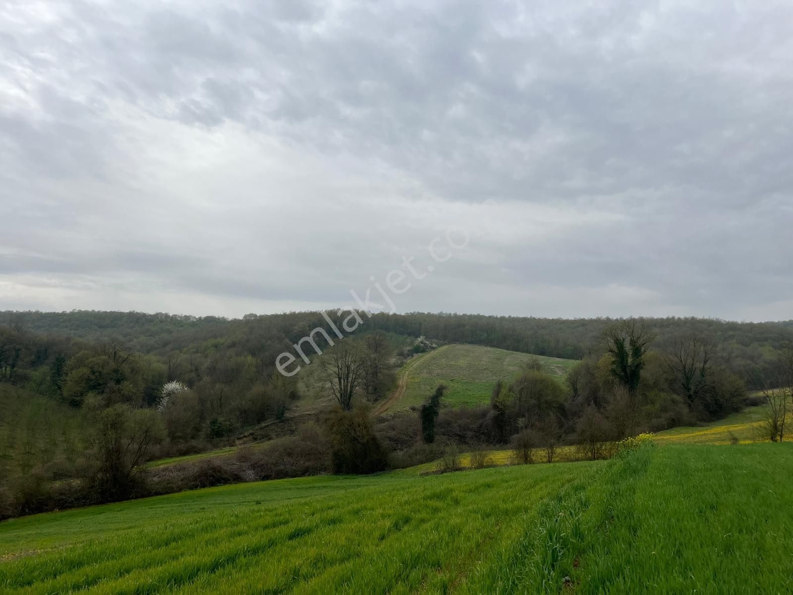 Re/max Mavi Fatih Çelebi'den Hataplı Gölet Manzaralı 1.537 M2 - Görsel 10