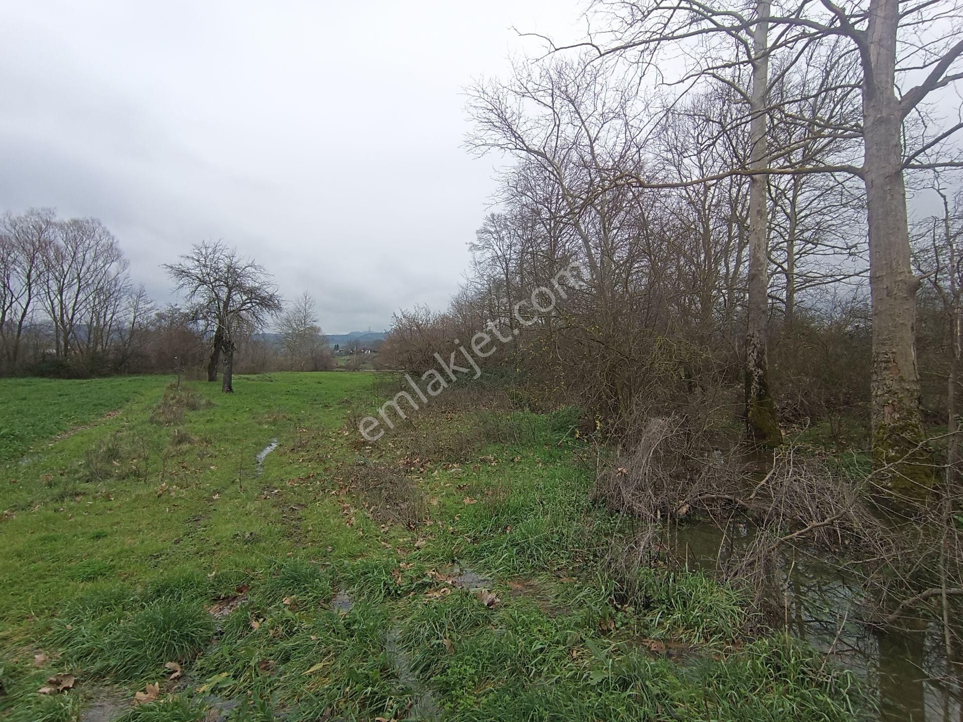 Engindeniz Emlak'tan Satılık 720m2 Kızderbent'te Yatırımlık Tarla - Görsel 7