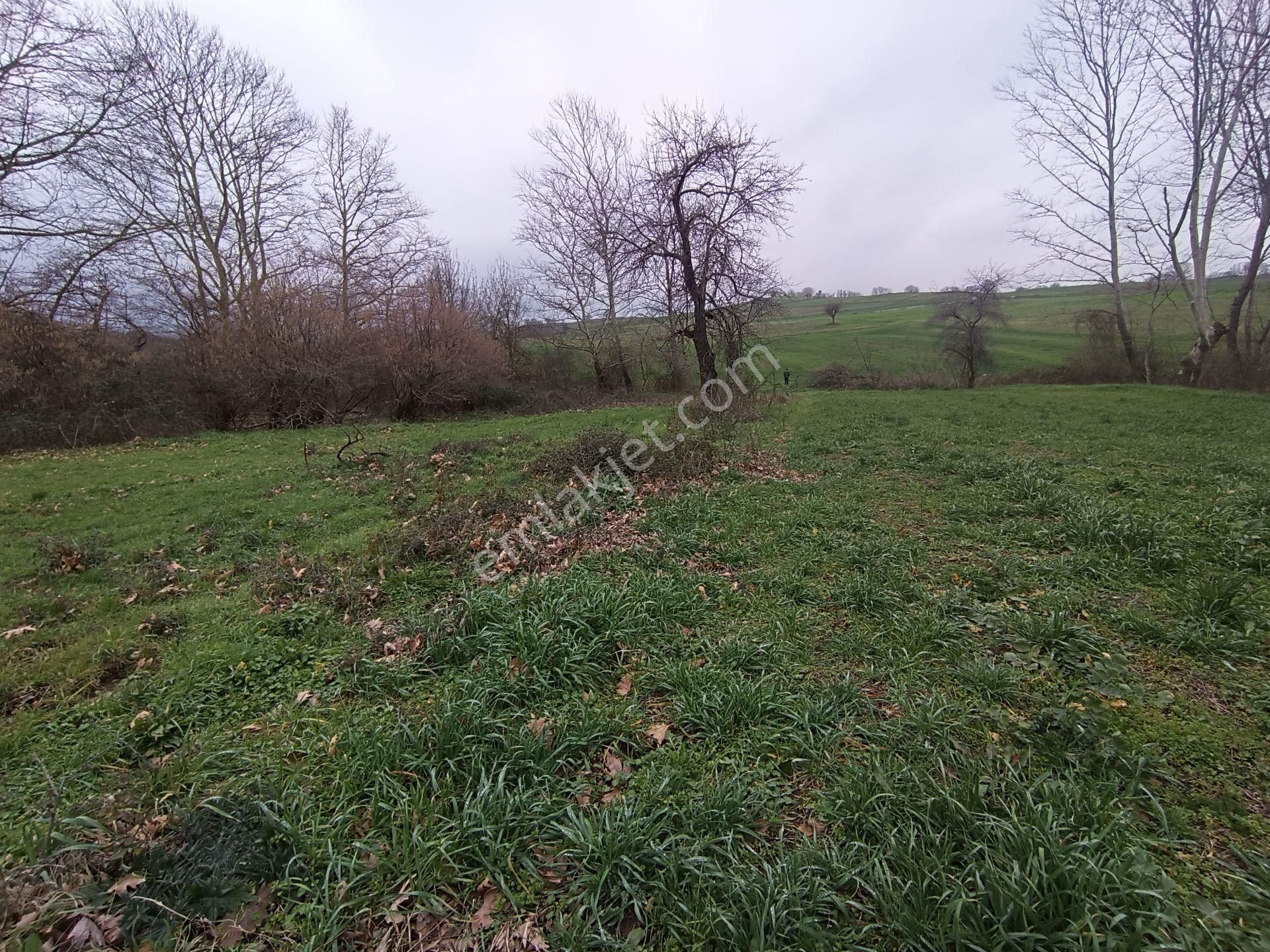 Engindeniz Emlak'tan Satılık 720m2 Kızderbent'te Yatırımlık Tarla - Görsel 9