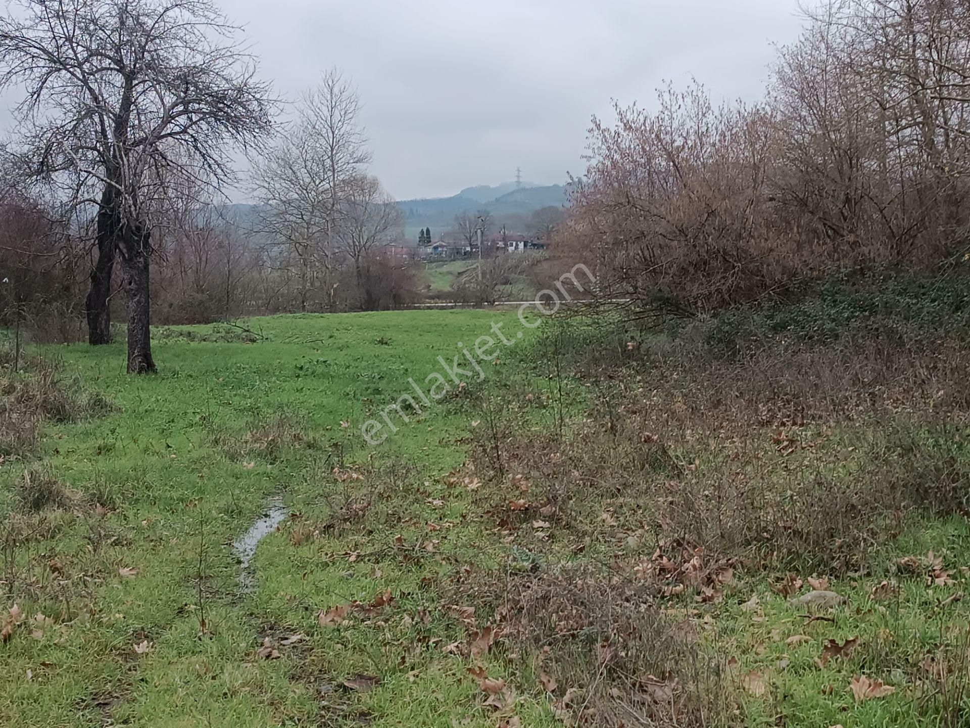 Engindeniz Emlak'tan Satılık 720m2 Kızderbent'te Yatırımlık Tarla - Görsel 8