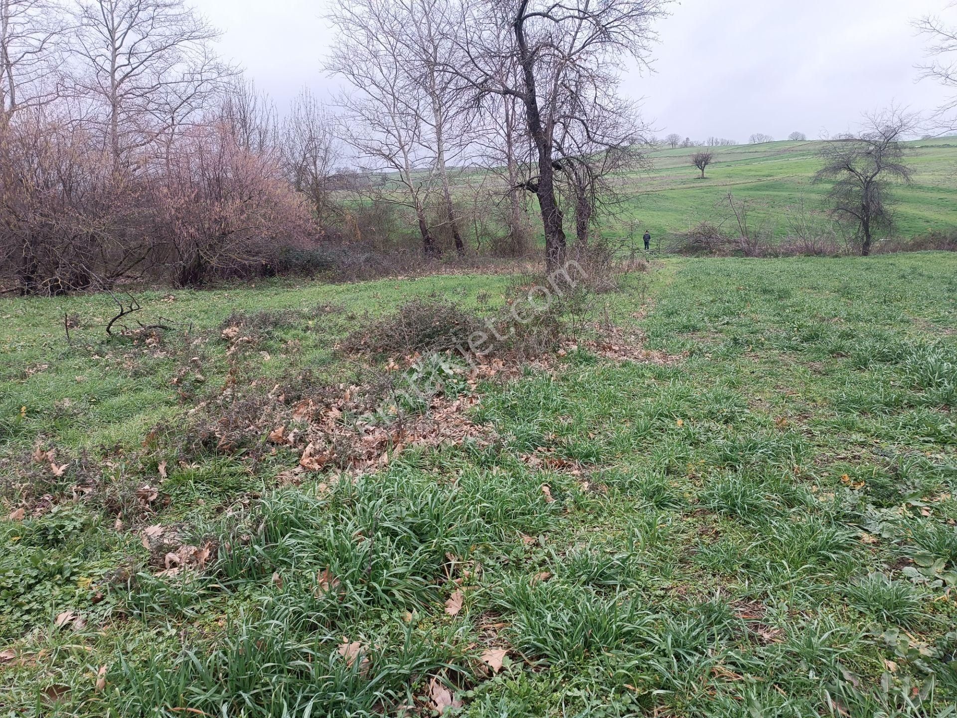 Engindeniz Emlak'tan Satılık 720m2 Kızderbent'te Yatırımlık Tarla - Görsel 11