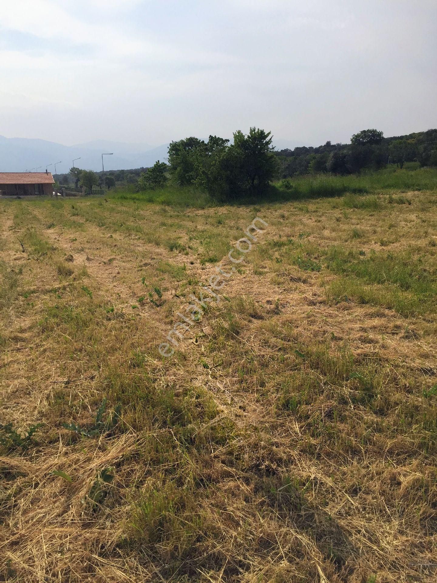 İzmir Sahibinden İmarlı 1955m² Arsa - Görsel 4