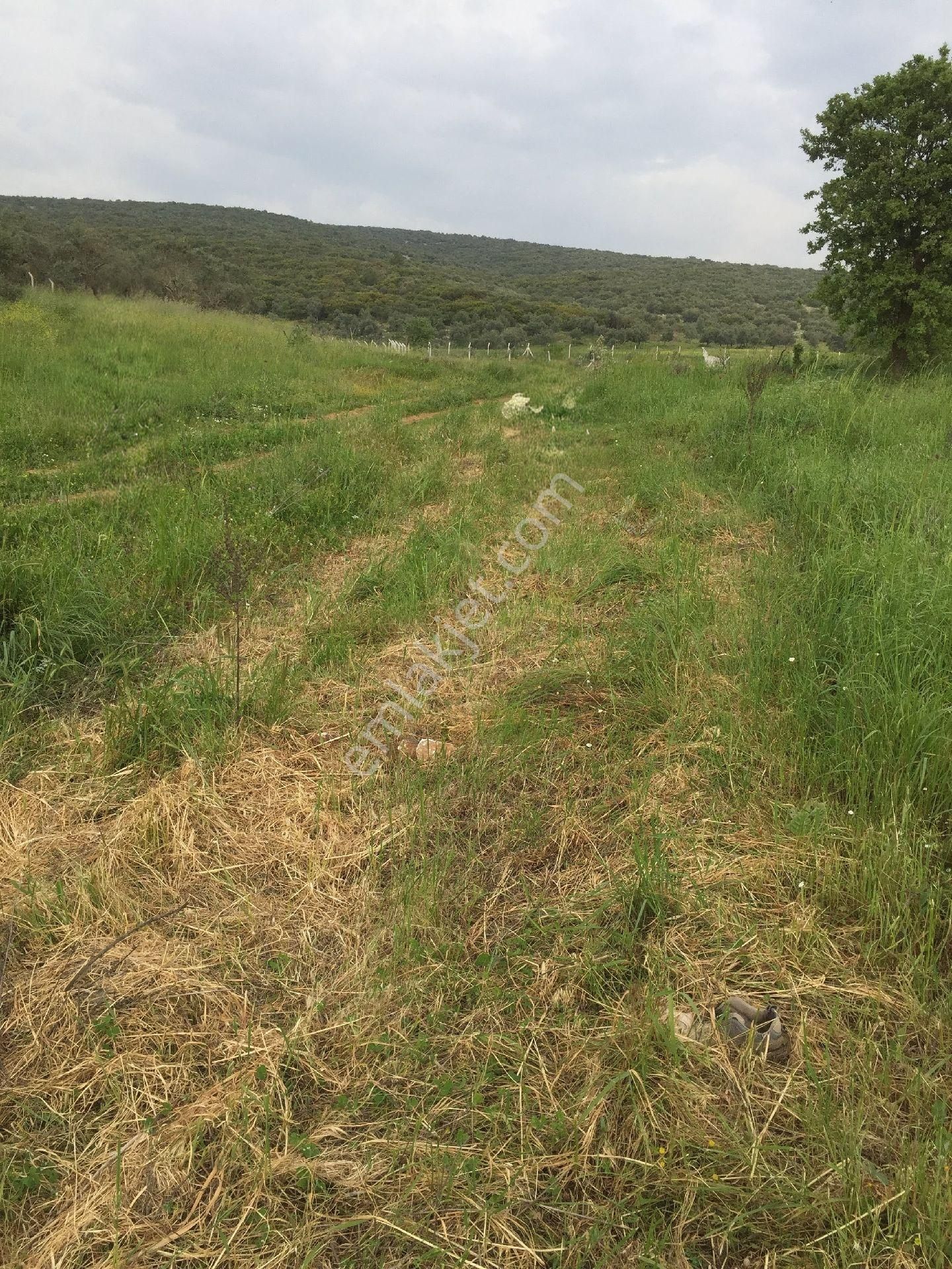 İzmir Sahibinden İmarlı 1955m² Arsa - Görsel 5