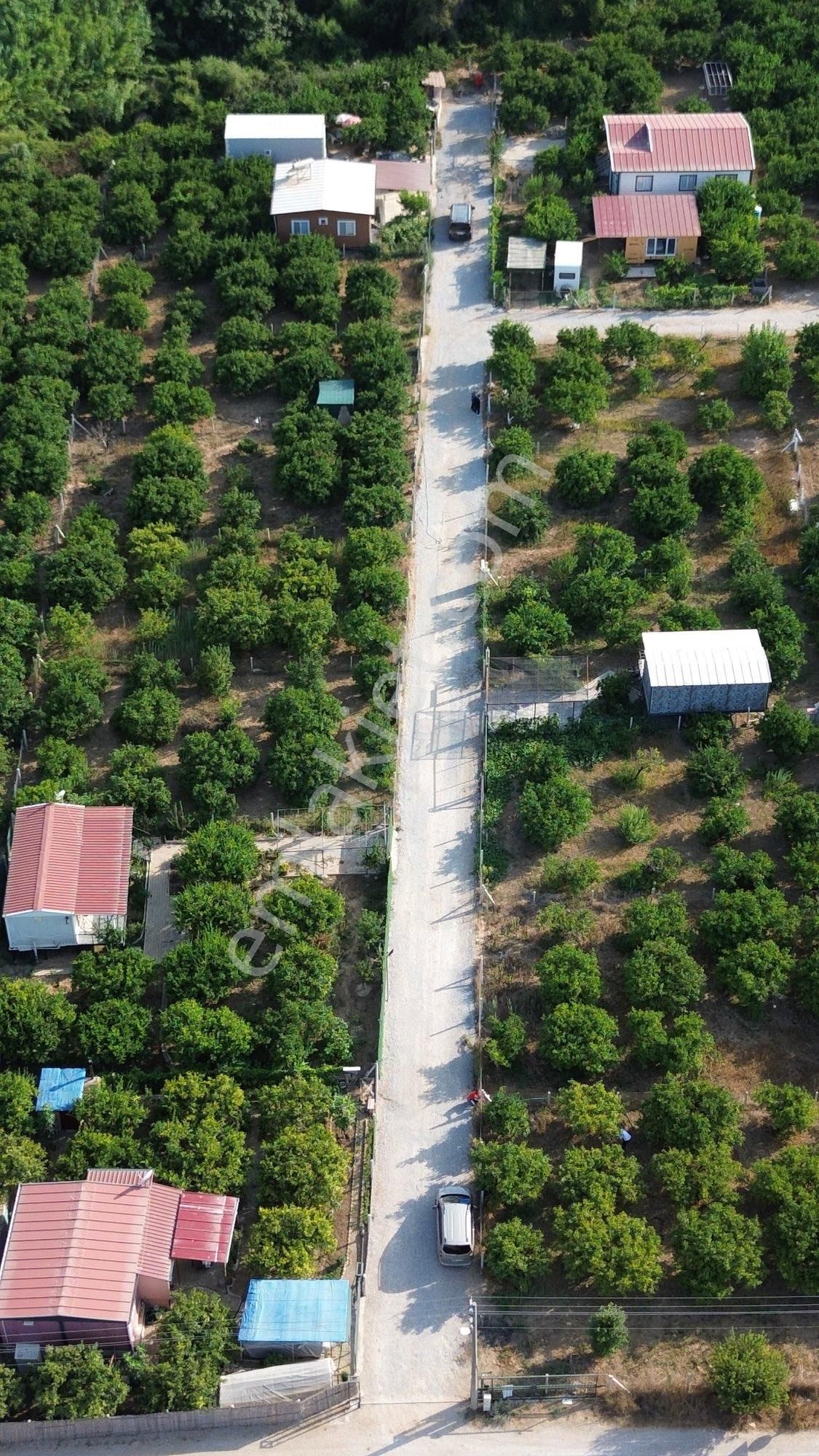 İzmir Gümüldür Merkezde 432 Metre Kare Bahçe Hisse Tapu Bugün Al Yarın Yap Elektrik Su Var Asfalta - Görsel 19