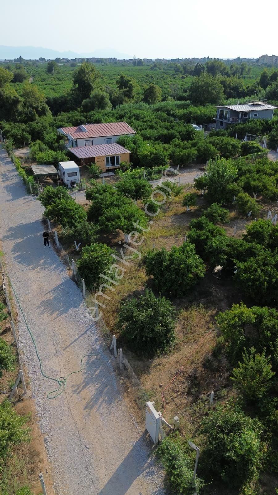 İzmir Gümüldür Merkezde 432 Metre Kare Bahçe Hisse Tapu Bugün Al Yarın Yap Elektrik Su Var Asfalta - Görsel 15