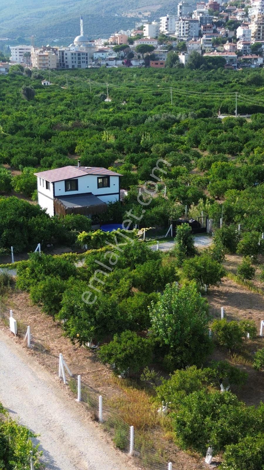 İzmir Gümüldür Merkezde 432 Metre Kare Bahçe Hisse Tapu Bugün Al Yarın Yap Elektrik Su Var Asfalta - Görsel 3