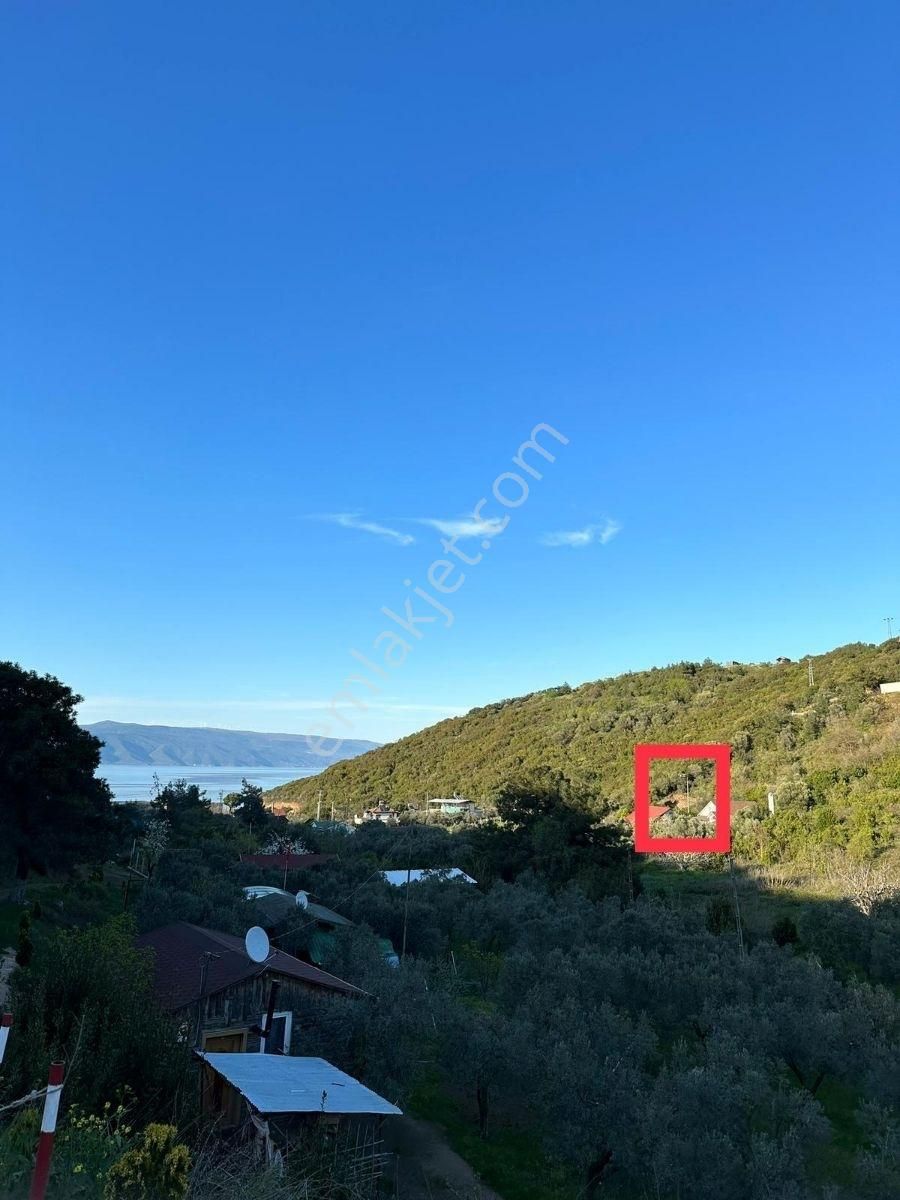 Altıntaş'ta Deniz Manzaralı Hobi Bahçesi - Görsel 16