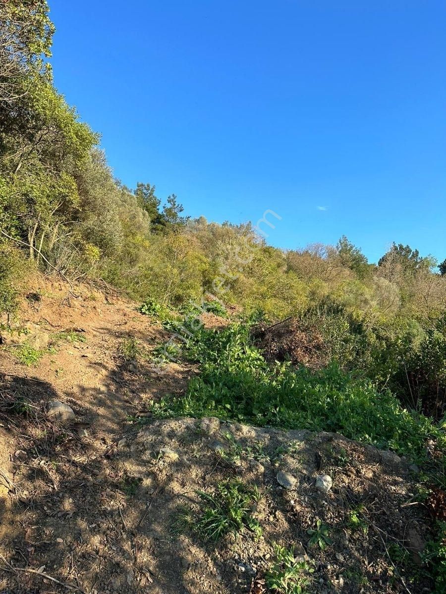 Altıntaş'ta Deniz Manzaralı Hobi Bahçesi - Görsel 11