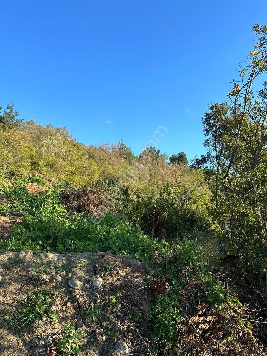 Altıntaş'ta Deniz Manzaralı Hobi Bahçesi - Görsel 15