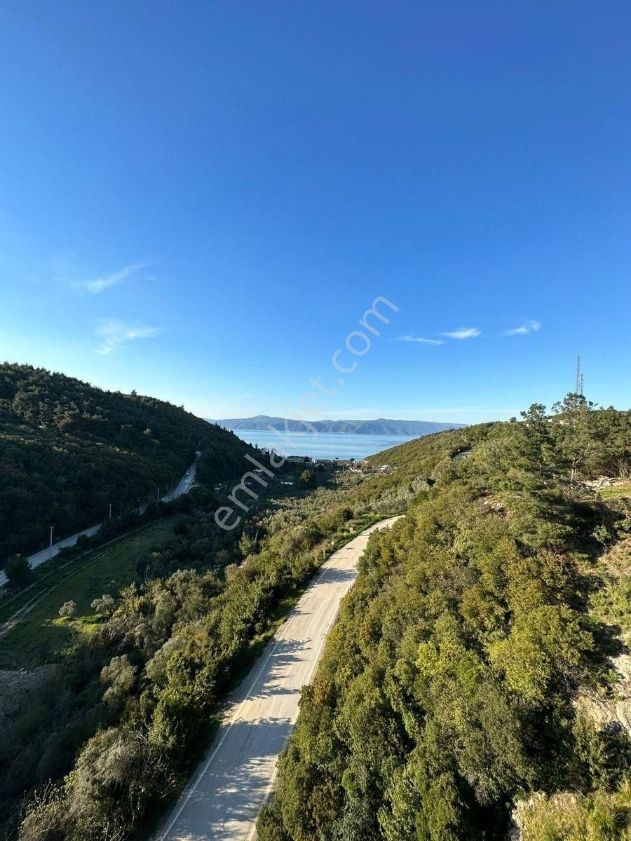Altıntaş'ta Deniz Manzaralı Hobi Bahçesi - Görsel 13