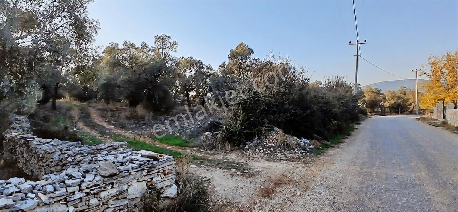Milas Söğütcük De 1122 M2 Yola Cepheli,yatırım Yaşam Fırsatı! - Görsel 18