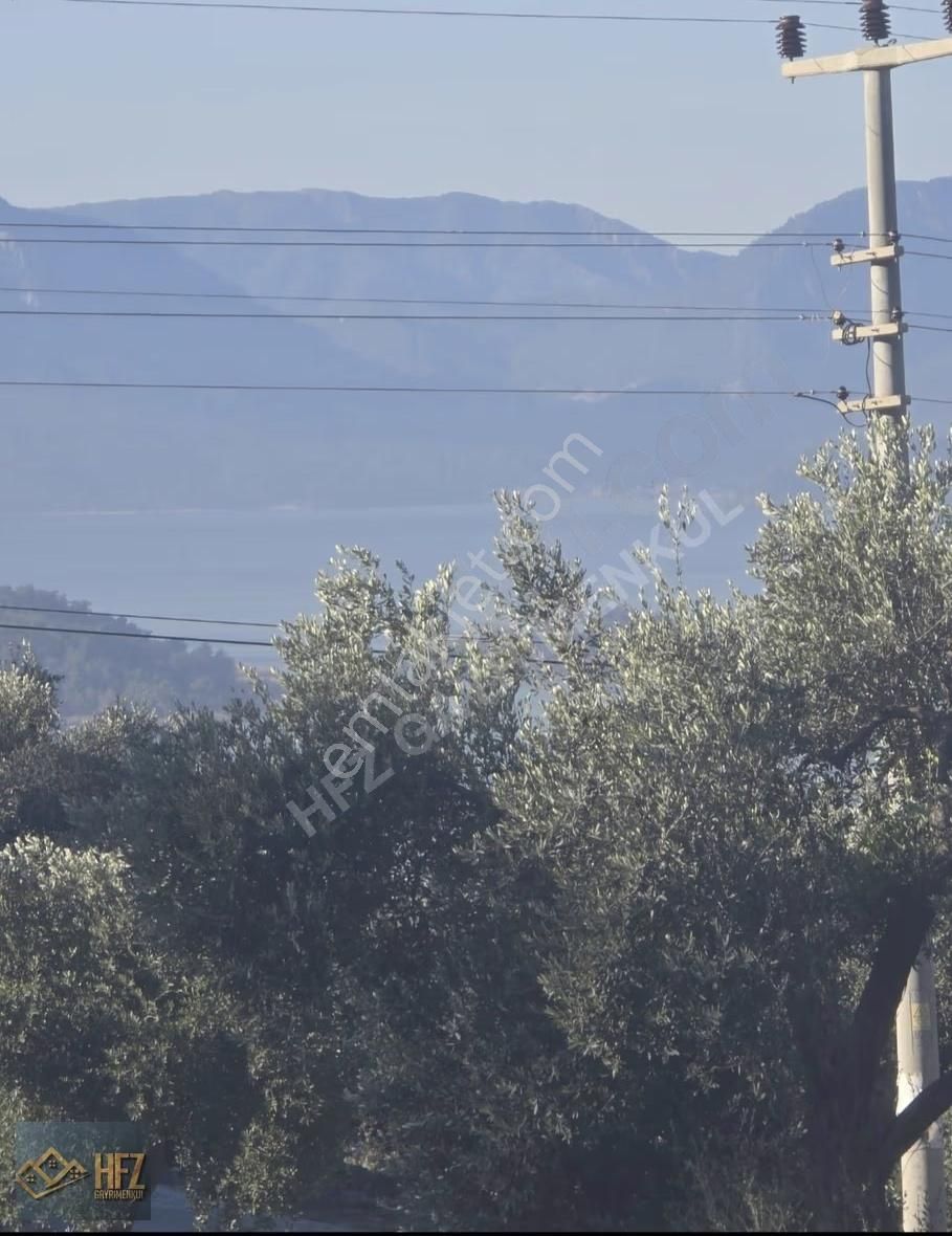 Köyceğiz Zeytinalanında Satılık Müstakil 3 Adet Ev - Görsel 6