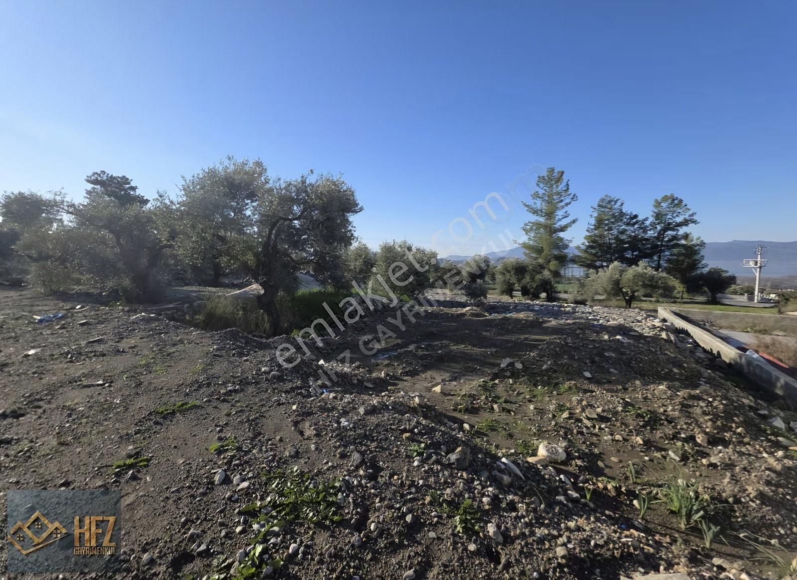 Köyceğiz Zeytinalanında Satılık Müstakil 3 Adet Ev - Görsel 19