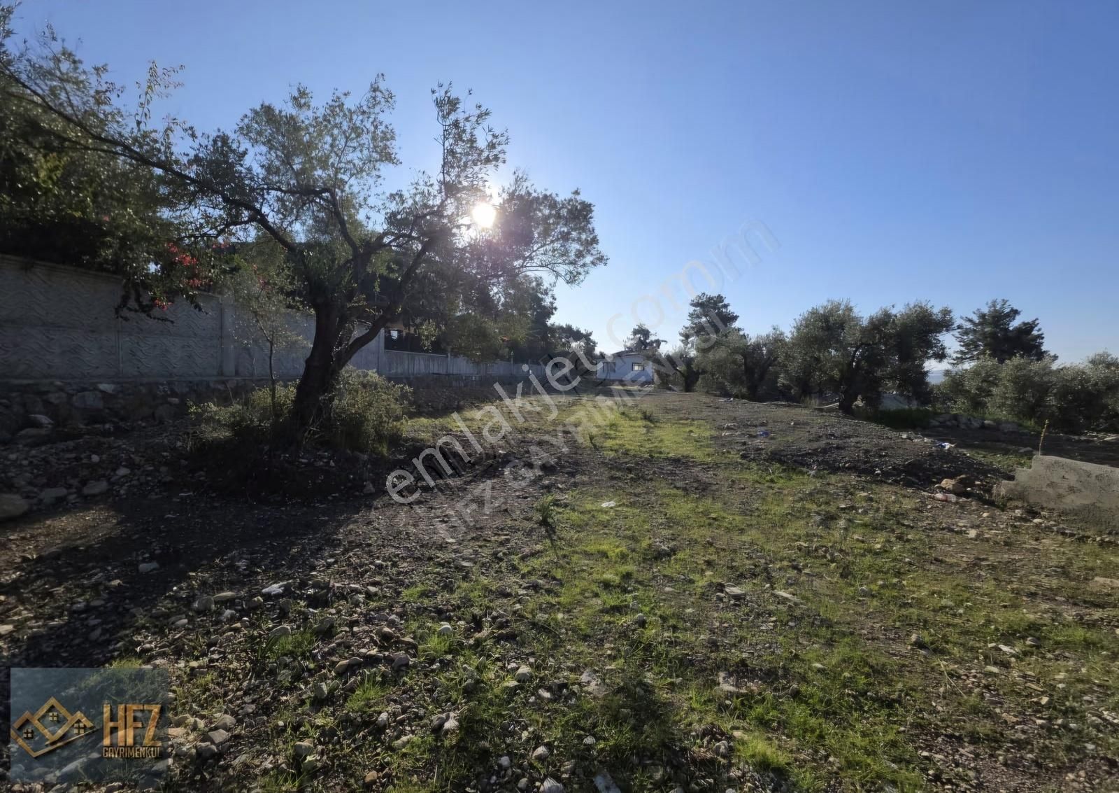 Köyceğiz Zeytinalanında Satılık Müstakil 3 Adet Ev - Görsel 20