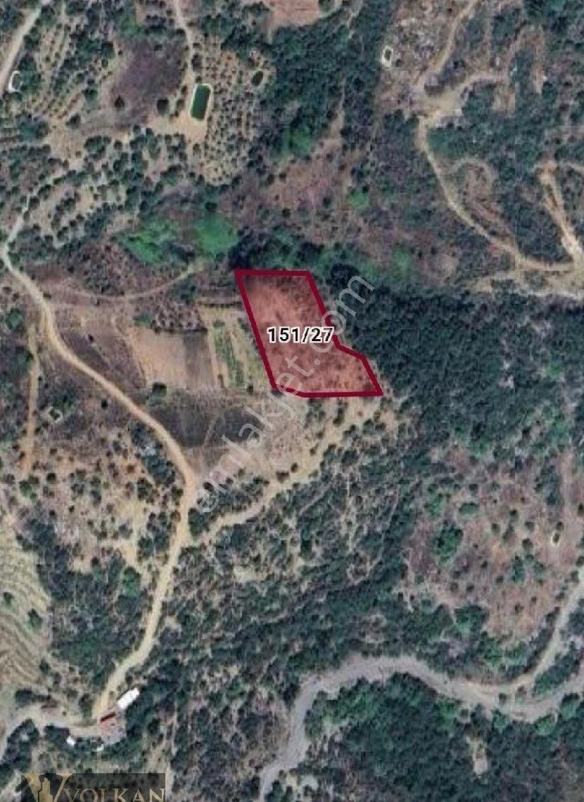 Acil Satılık Tarla 3555 M2 Gazipaşa İnal Mahallesin'de - Görsel 5