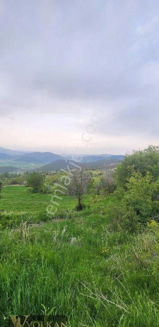 Muğla Seydikemer'de Satılık 2 Parsel Bir Arada 13717 M2 Tarla - Görsel 8