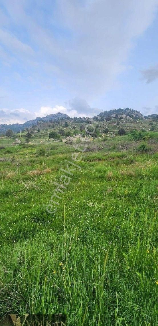 Muğla Seydikemer'de Satılık 2 Parsel Bir Arada 13717 M2 Tarla - Görsel 4