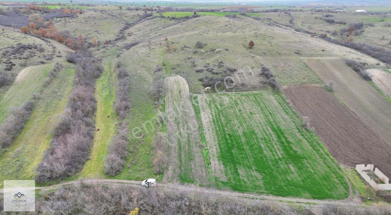 Babaeski Katranca Da 1526 M2 Satılık Tarla - Görsel 3