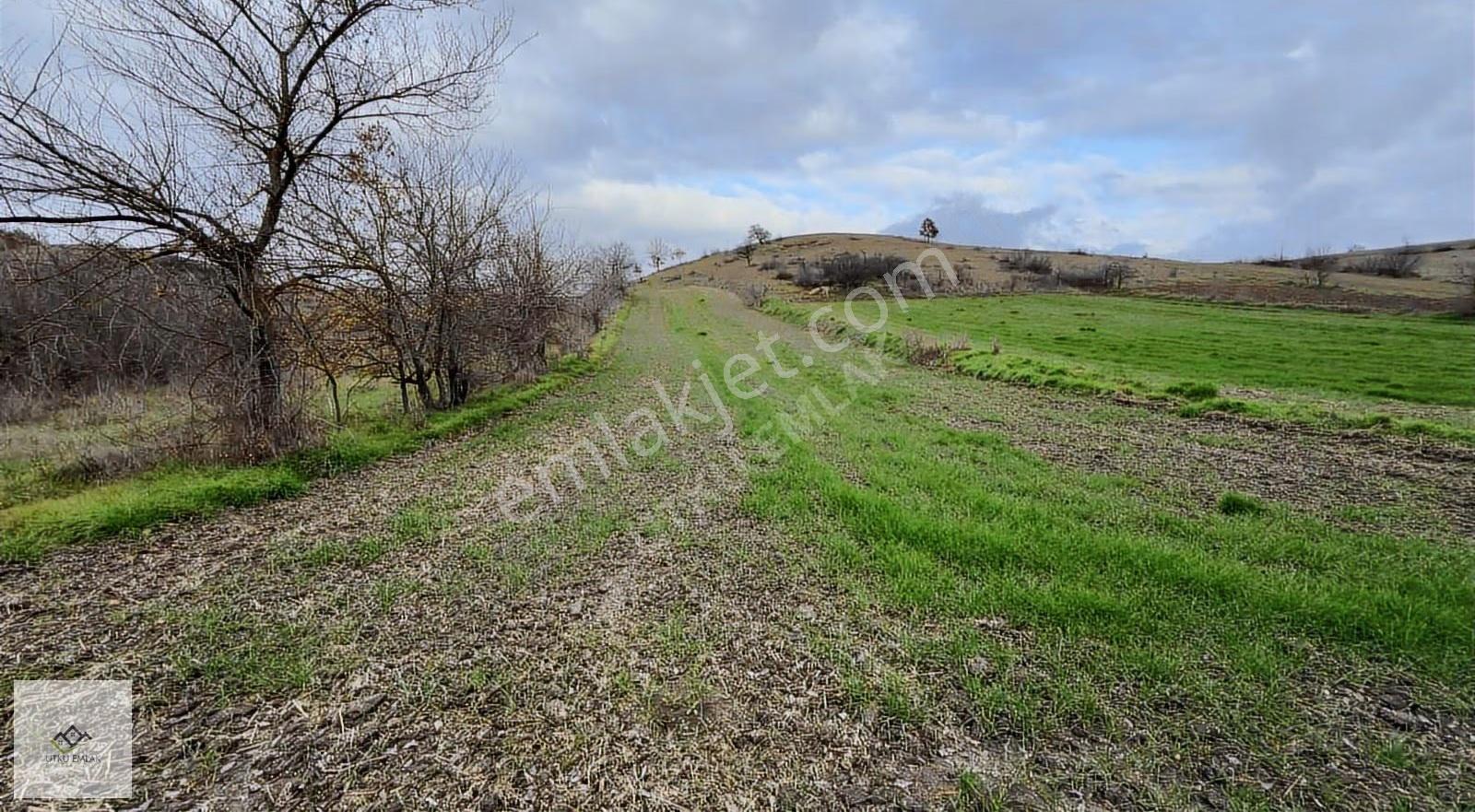 Babaeski Katranca Da 1526 M2 Satılık Tarla - Görsel 11