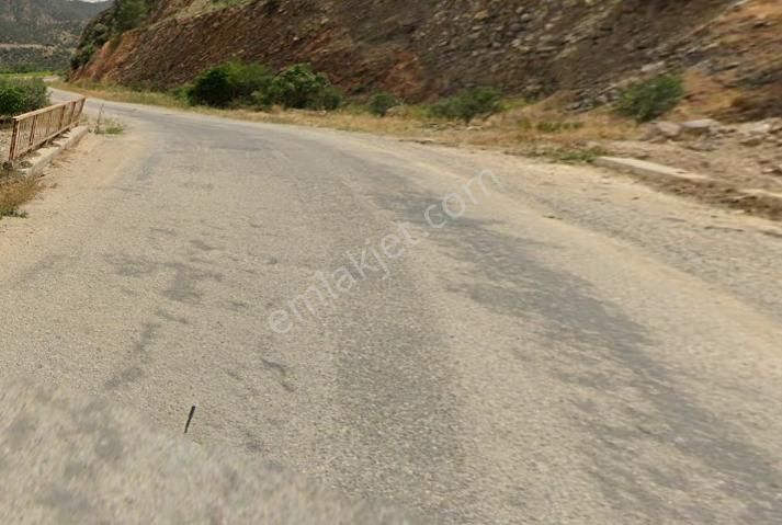 Satılık Yıllık 20 Ton Verimli, Elektrikli, Sulamalı Zeytinlik