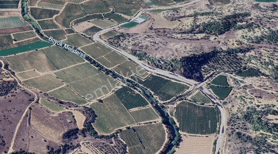 Satılık Yıllık 20 Ton Verimli, Elektrikli, Sulamalı Zeytinlik - Görsel 14
