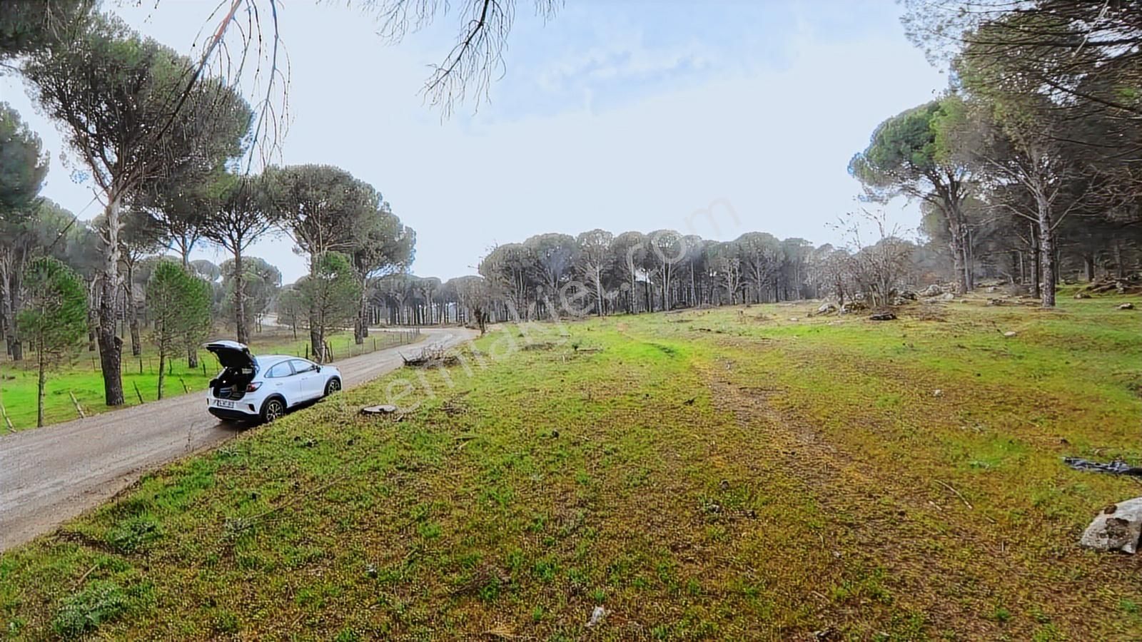 Bergama Çamavlu'da Satılık Tarla - Görsel 3