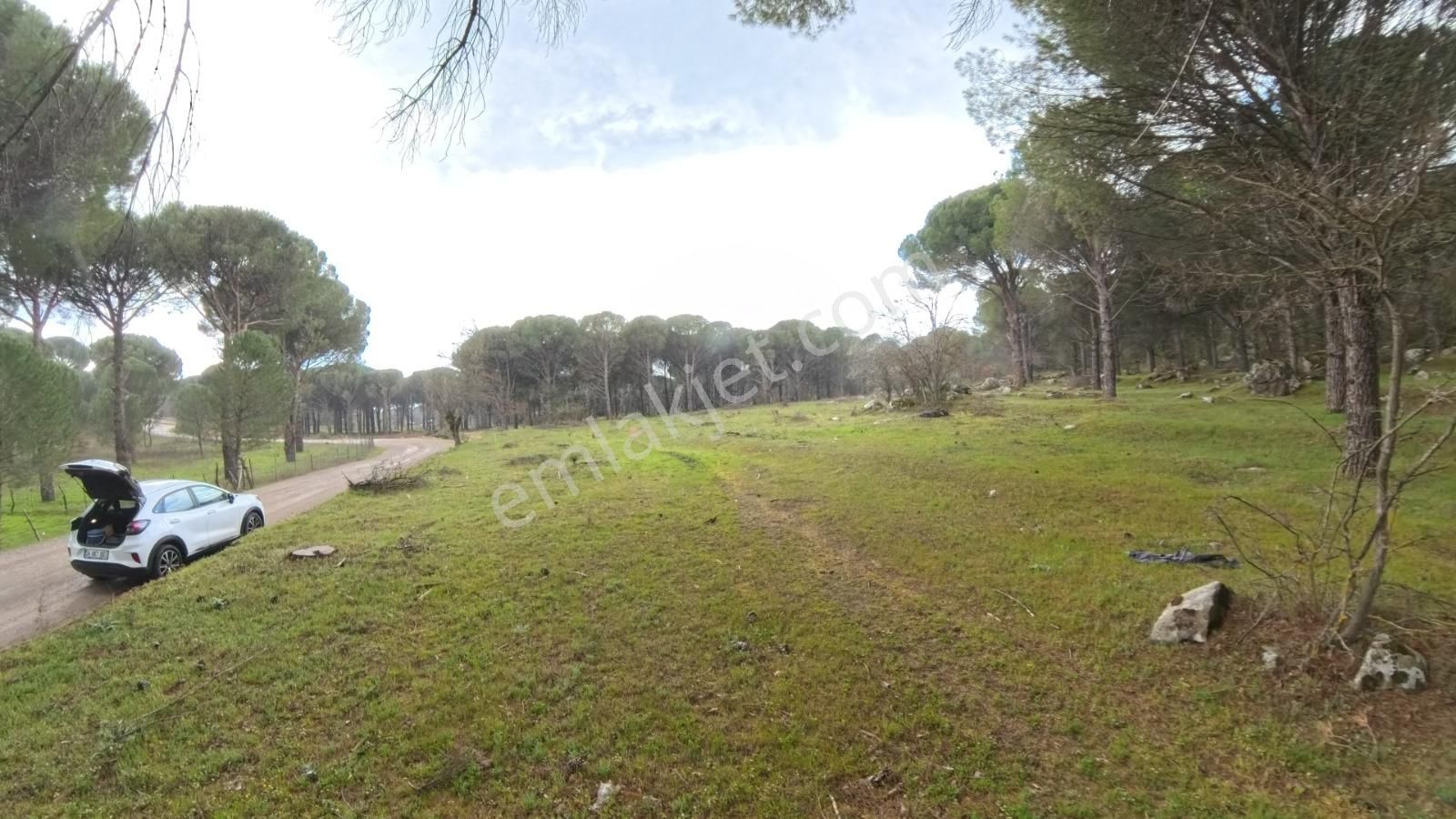 Bergama Çamavlu'da Satılık Tarla - Görsel 2