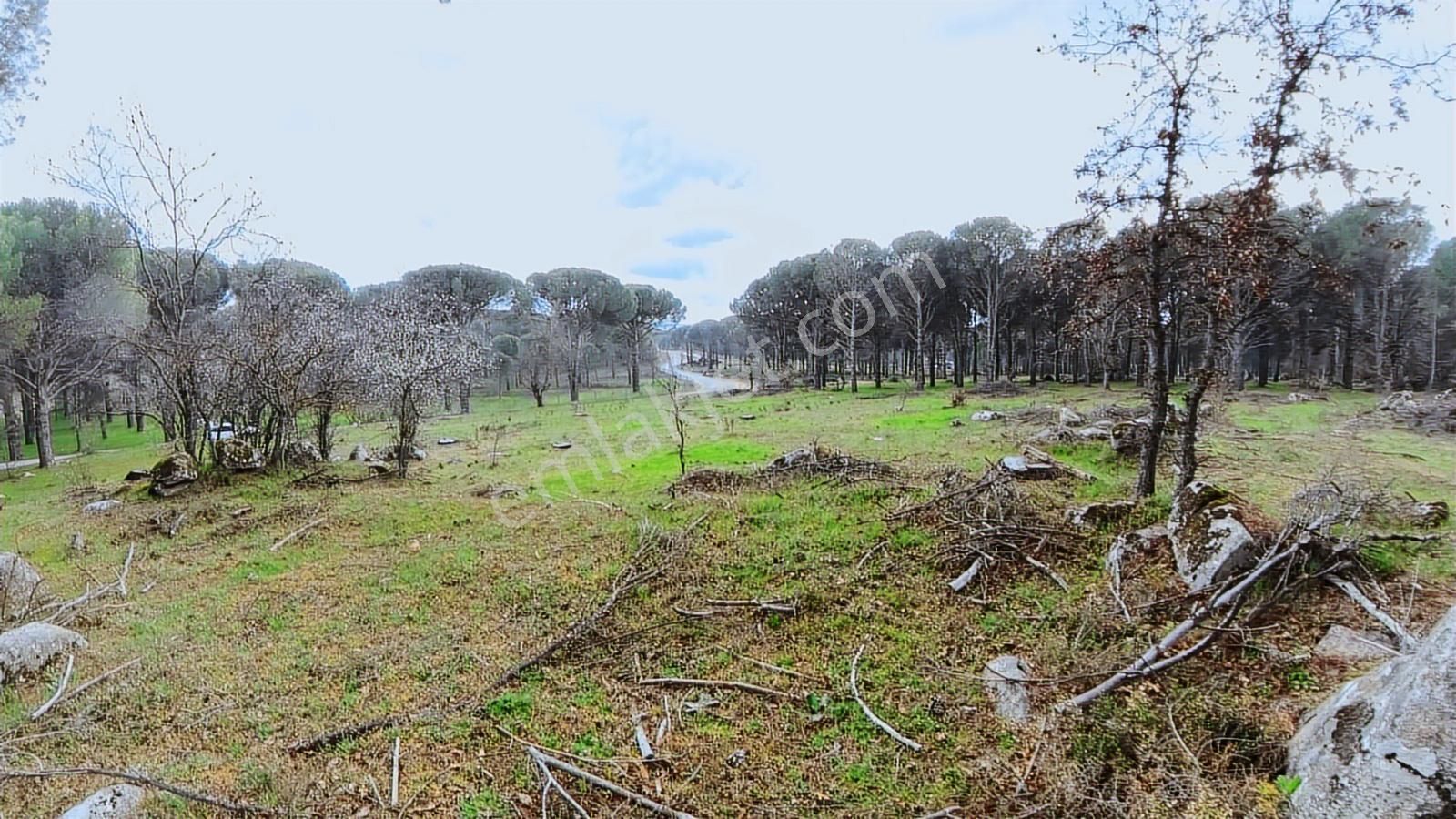 Bergama Çamavlu'da Satılık Tarla - Görsel 8
