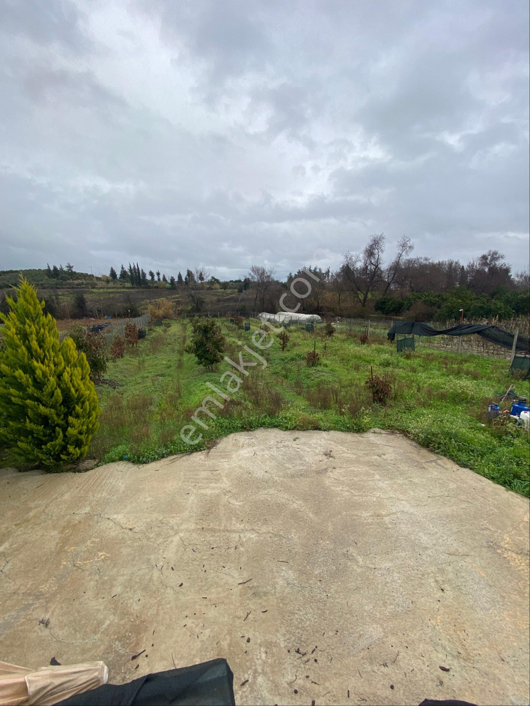 Evrenleryavşı Mahallesinde 2500 Metrekare Arsa İçerisinde Prefabrik Ve Elektrik Su Abonesi Vardır - Görsel 23