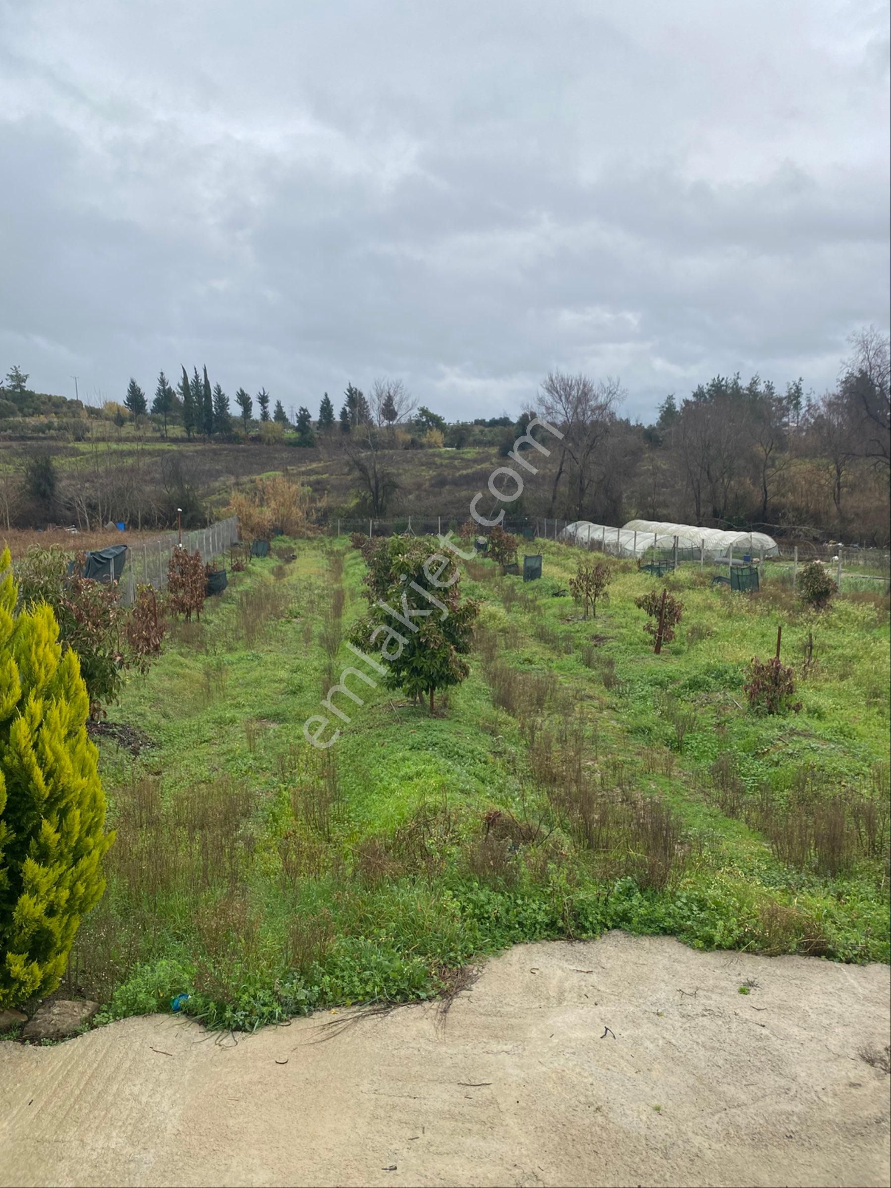 Evrenleryavşı Mahallesinde 2500 Metrekare Arsa İçerisinde Prefabrik Ve Elektrik Su Abonesi Vardır - Görsel 24